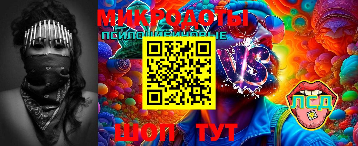 Галлюциногенные грибы Psilocybe Ртищево