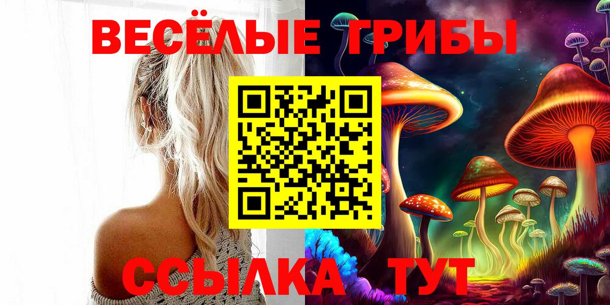 Ртищево  Галлюциногенные грибы Magic Shrooms  Псилоцибиновые грибы GOLDEN TEACHER  Вход с VPN 